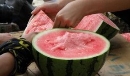 51朝阳吃瓜,揭秘娱乐圈最新吃瓜事件，带你领略明星幕后故事